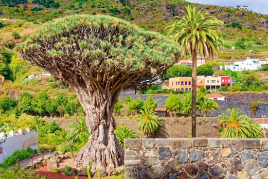 Okouzlující Kanárské ostrovy - Poznejte Lanzarote, Fuerteventuru a Tenerife zblízka