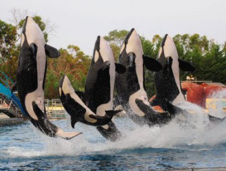 Azurové pobřeží pro rodiče a děti + Marineland