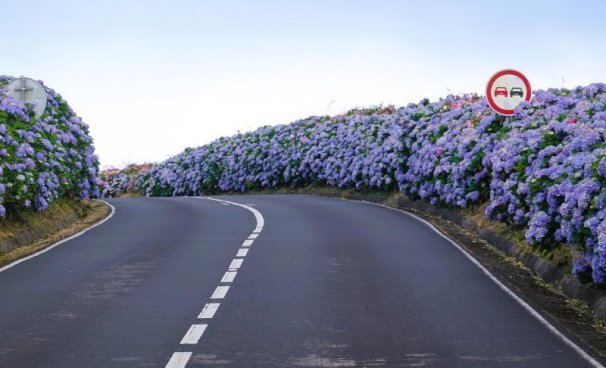 AZORSKÉ OSTROVY FLORES, CORVO A TERCEIRA – padesát odstínů zeleně