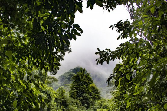 Severní Peru