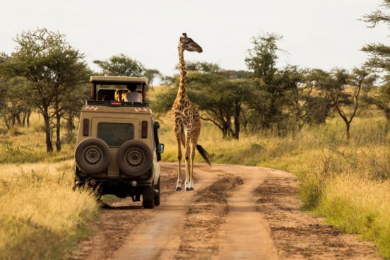 Safari v Tanzanii a exotický Zanzibar