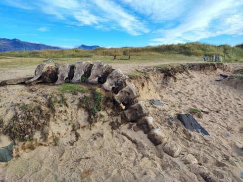 Unikátní cesta na Island s geologem