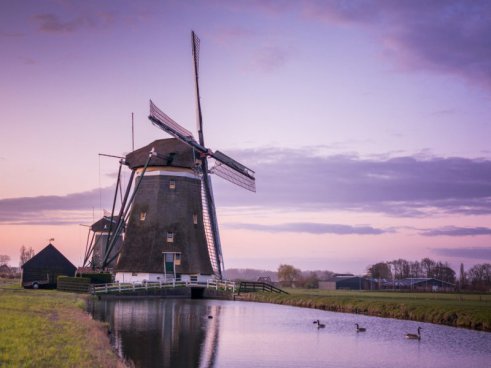 Amsterdam + Zaanse Schans + sýrové trhy