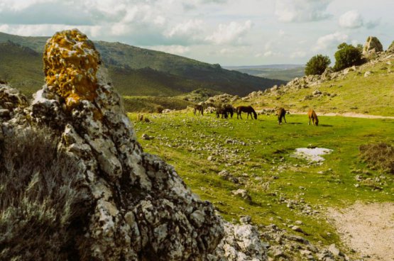 Turistika divokou Sardinií