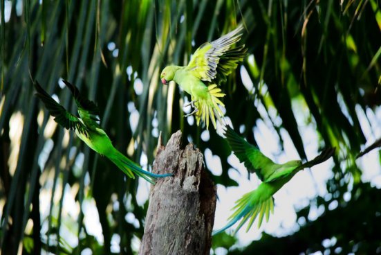 Krásy a kultura ostrova Bali