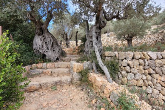 MALLORCA - procházky po Baleárských ostrovech