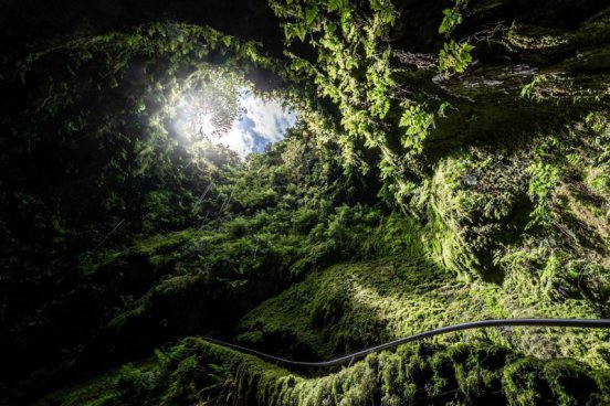 AZORSKÉ OSTROVY FLORES, CORVO A TERCEIRA – padesát odstínů zeleně