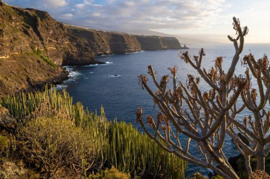 TENERIFE - týden s turistikou a mořem