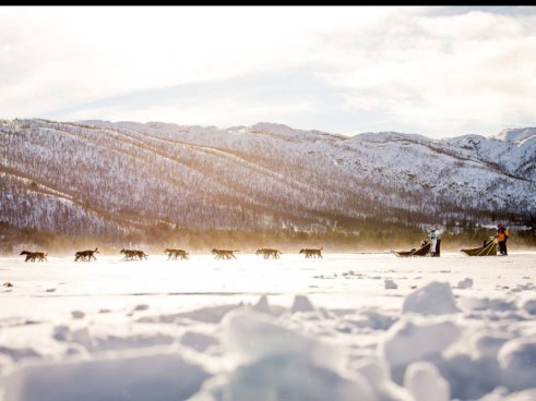 ADVENT V NORSKU, Oslo, zimní fjordy a Bergen