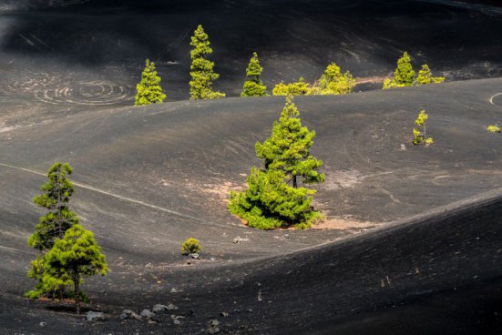 LA PALMA - turistika a relax na Kanárech