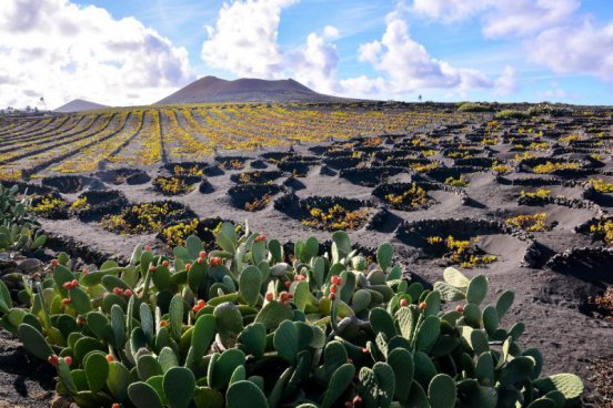 Okouzlující Kanárské ostrovy - Poznejte Lanzarote, Fuerteventuru a Tenerife zblízka