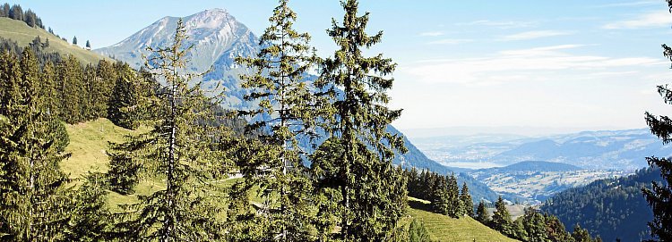 NOVINKA! Rodinné léto v Berner Oberlandu