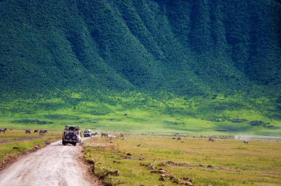 Safari v Tanzanii a exotický Zanzibar