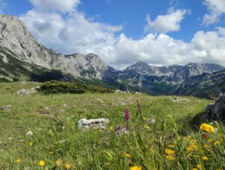 BOSNA A HERCEGOVINA - BLÍZKÁ I VZDÁLENÁ