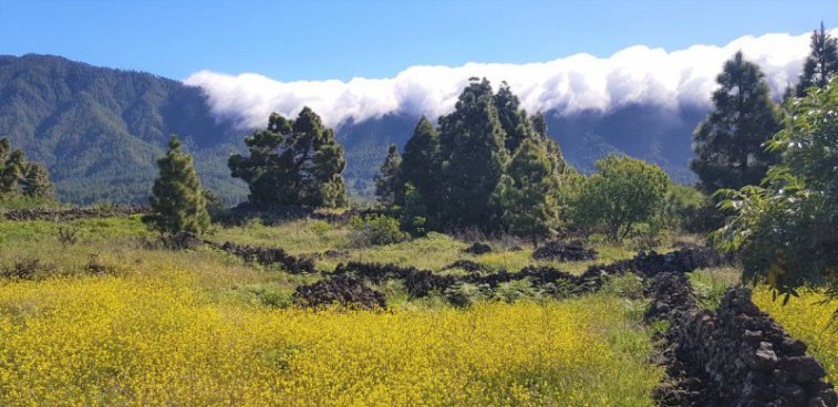 Pěší turistika na ostrově La Palma