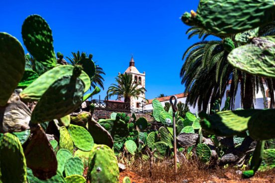 Okouzlující Kanárské ostrovy - Poznejte Lanzarote, Fuerteventuru a Tenerife zblízka