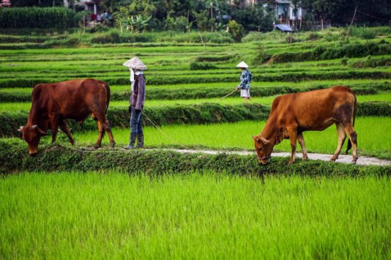 Vietnam - Zemí tisíce vůní od severu k jihu