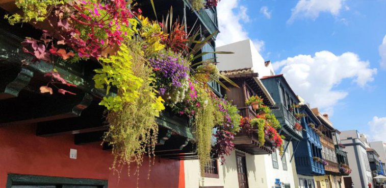 Pěší turistika na ostrově La Palma