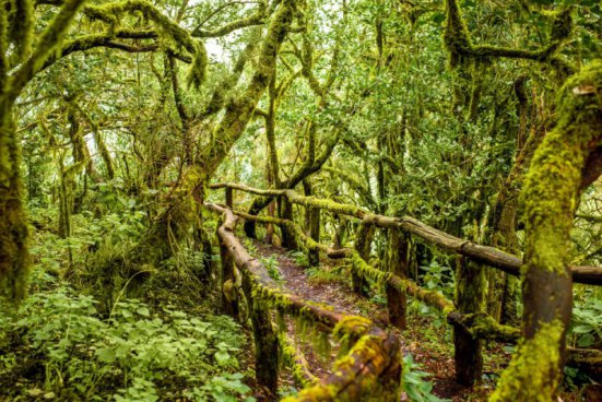 Pěší turistika na ostrově La Gomera