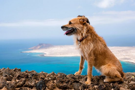 Okouzlující Kanárské ostrovy - Poznejte Lanzarote, Fuerteventuru a Tenerife zblízka