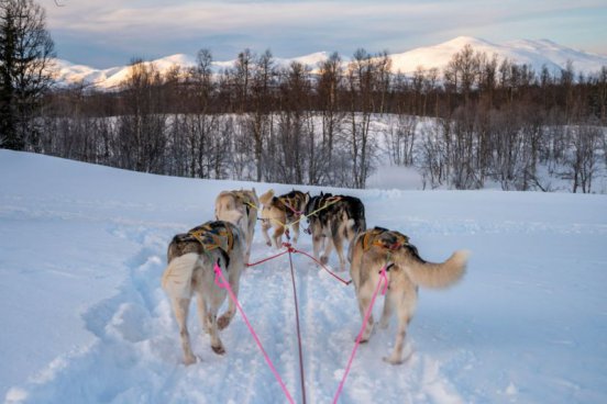 TROMSO, POLÁRNÍ ZÁŘE A OSTROV SENJA