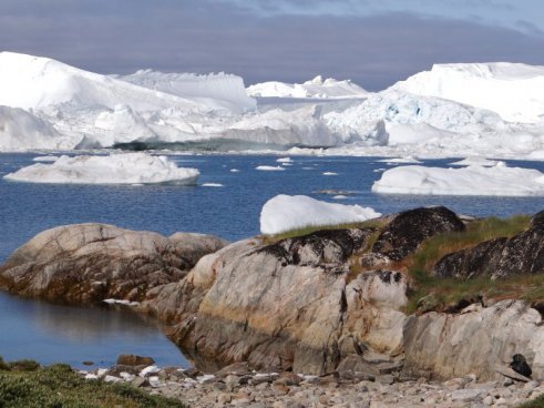 ZÁPADNÍ GRÓNSKO - ILULISSAT