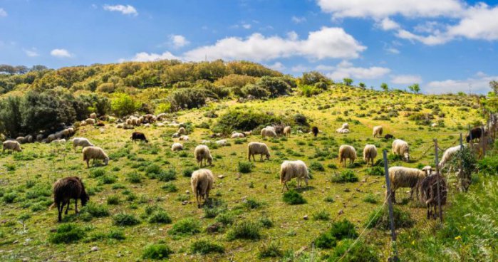 Turistika divokou Sardinií