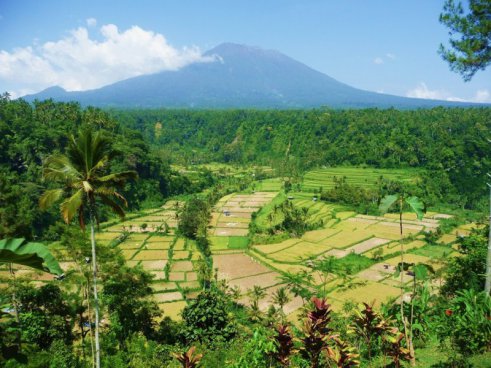 Krásy a kultura ostrova Bali