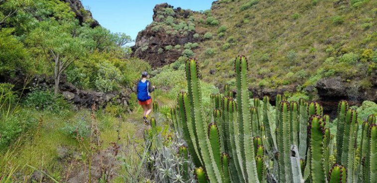 Pěší turistika na ostrově La Palma