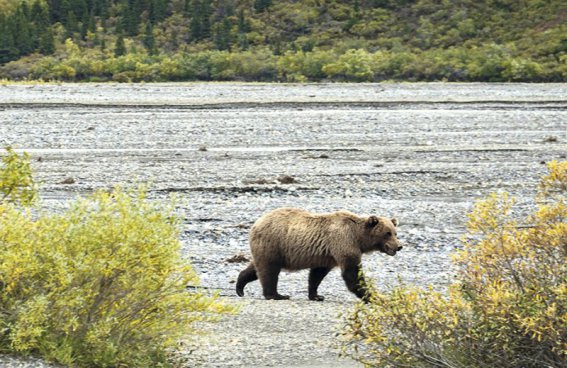 KANADA - VANCOUVER, PLAVBA NA ALJAŠKU