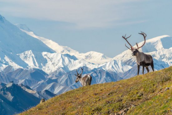 KANADA - VANCOUVER, PLAVBA NA ALJAŠKU