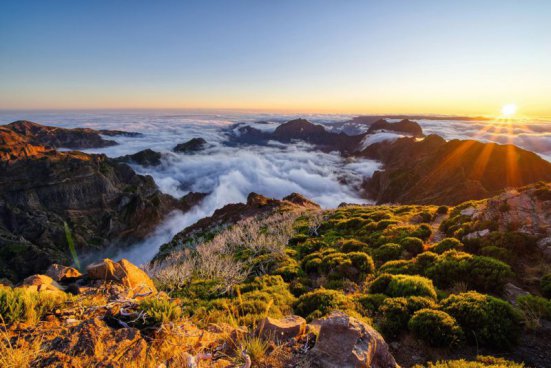 Madeira na Silvestra 