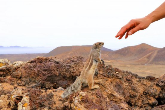 Okouzlující Kanárské ostrovy - Poznejte Lanzarote, Fuerteventuru a Tenerife zblízka