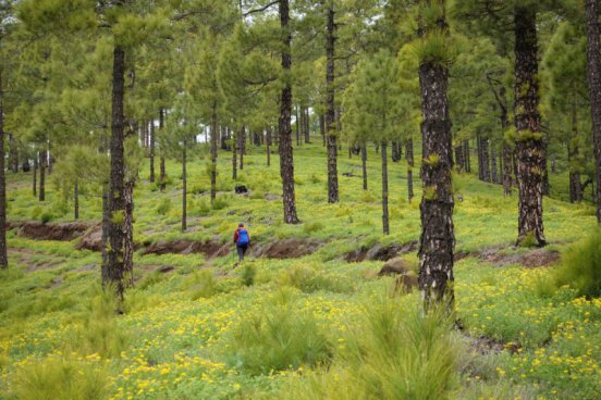 Pěší turistika na ostrově La Palma