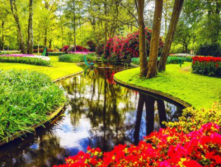 Amsterdam + květinová zahrada Keukenhof + trh v Alkmaaru