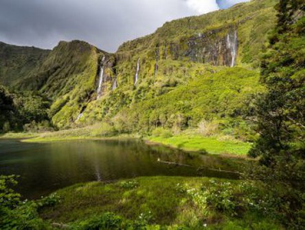 AZORSKÉ OSTROVY FLORES, CORVO A TERCEIRA – padesát odstínů zeleně