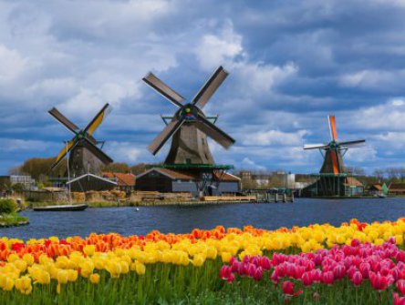 To nej z Holandska a mlýny v Kinderdijk