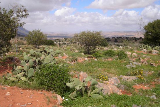 MAROKO - MARRAKÉŠ, FES, ATLAS A SAHARA