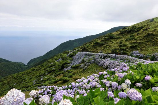 LETNÍ RELAX NA AZORÁCH s turistikou a koupáním