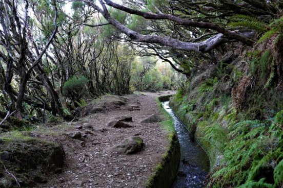 MADEIRA - POZNÁVÁNÍ A KVĚTINOVÉ SLAVNOSTI