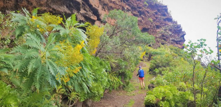 Pěší turistika na ostrově La Palma