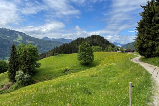 NORDIC WALKING V PODHŮŘÍ DACHSTEINU