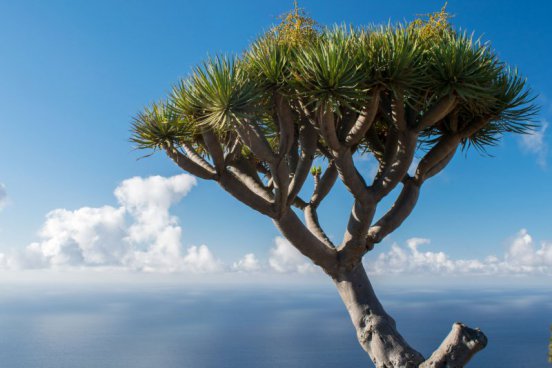 LA PALMA - turistika a relax na Kanárech