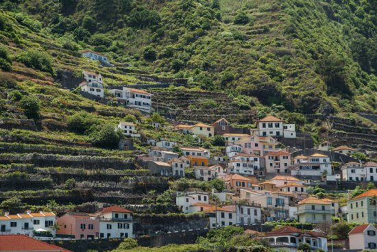 Madeira na Silvestra 