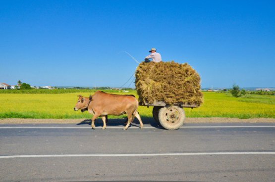 Vietnam - Zemí tisíce vůní od severu k jihu