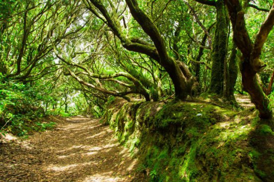 Okouzlující Kanárské ostrovy - Poznejte Lanzarote, Fuerteventuru a Tenerife zblízka