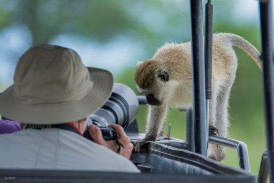 Safari v Tanzanii a exotický Zanzibar