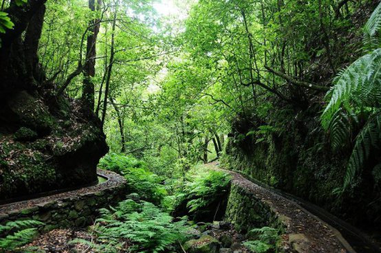 MADEIRA – OSTROVNÍ RÁJ S TURISTIKOU