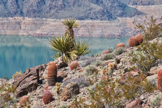 USA - NÁRODNÍ PARKY ZÁPADU: Zion, Grand Canyon, Arches a další