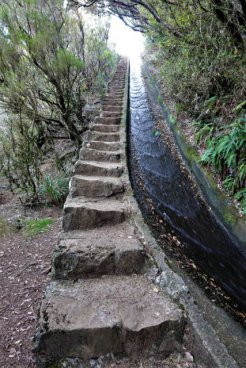 MADEIRA - POZNÁVÁNÍ A KVĚTINOVÉ SLAVNOSTI